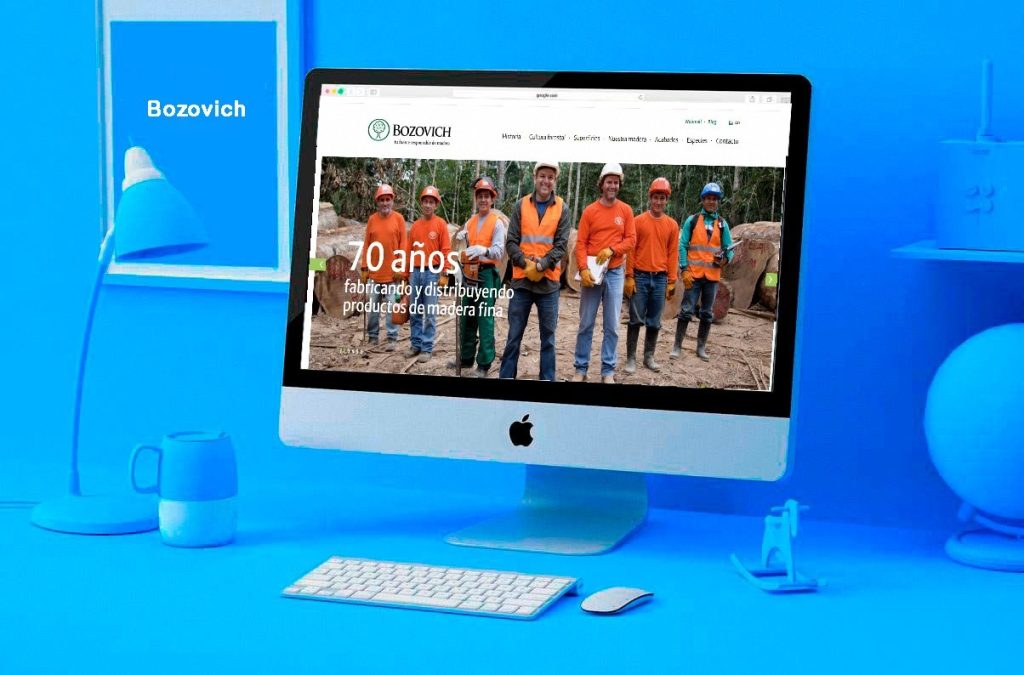 portafolio caso exito bozovich