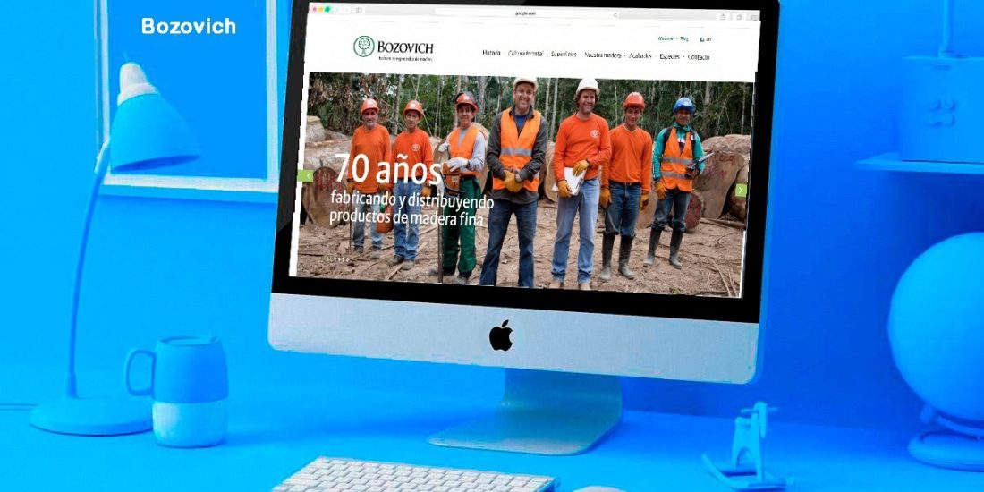 portafolio caso exito bozovich