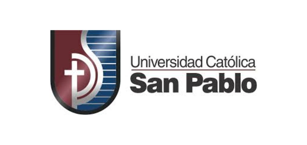 universidad catolica san pablo impulso digital capybara seo